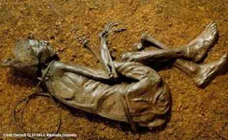The Tollund man, found in a Danish bog, was preserved by the acidic and oxygen-free environment. 