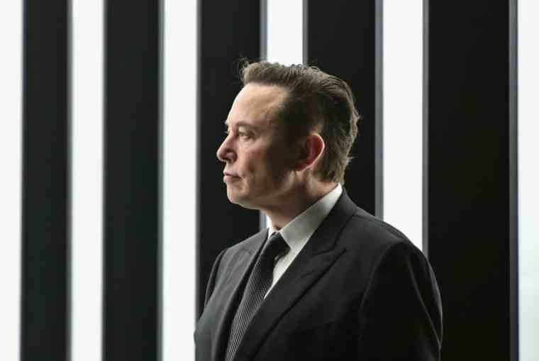 Elon Musk at the inauguration of the "mega-factory" of Tesla in Grünheide, southeast of Berlin, on March 22, 2022 (POOL / Patrick Pleul)