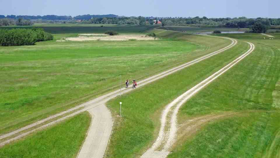 Cyclists on the Elbe dike