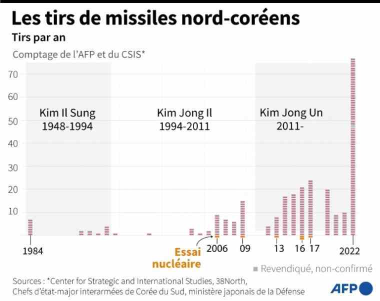 North Korean missile fire (AFP / )