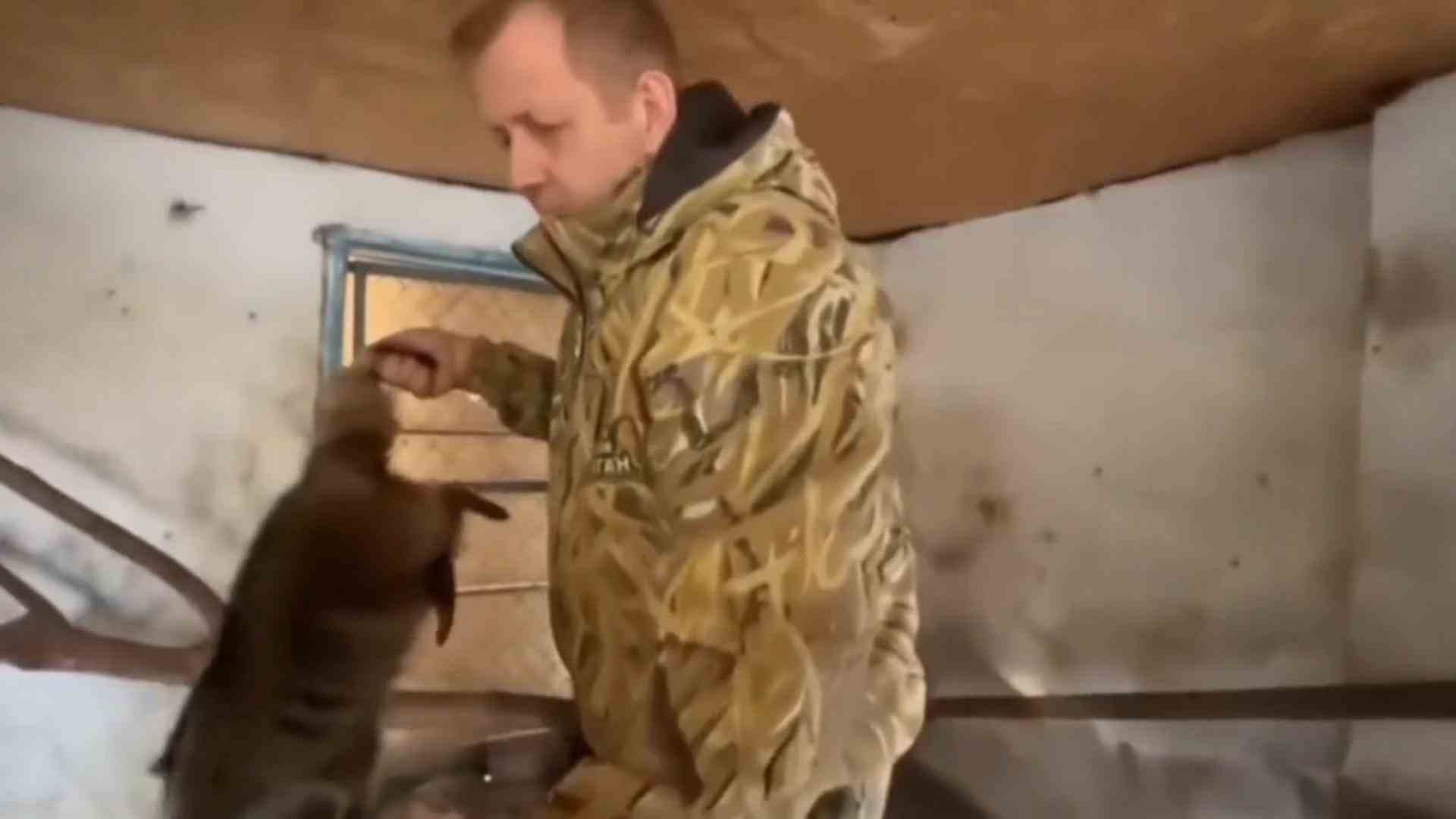 Russian zoo owner steals animals from Kherson zoo shortly before departure