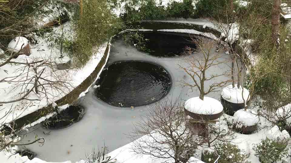 Frozen garden pond