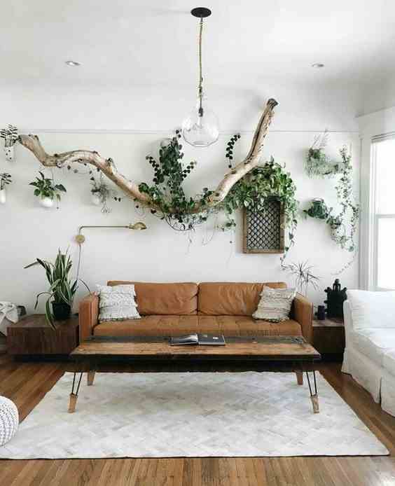 The Plant Decoration To Personalize The Minimalist Living Room 