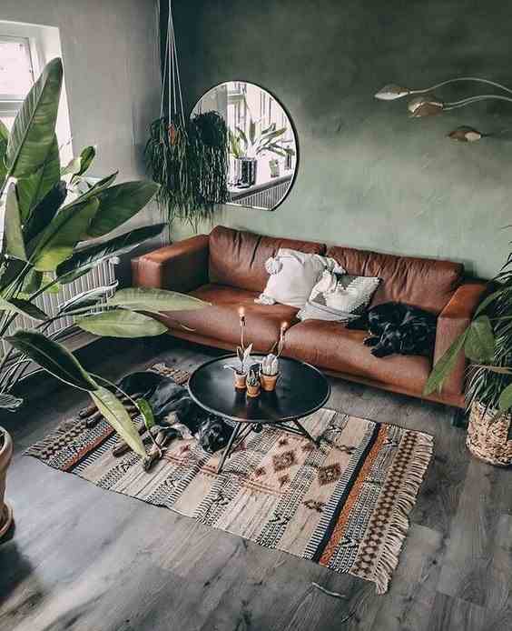 Plants And Leather 