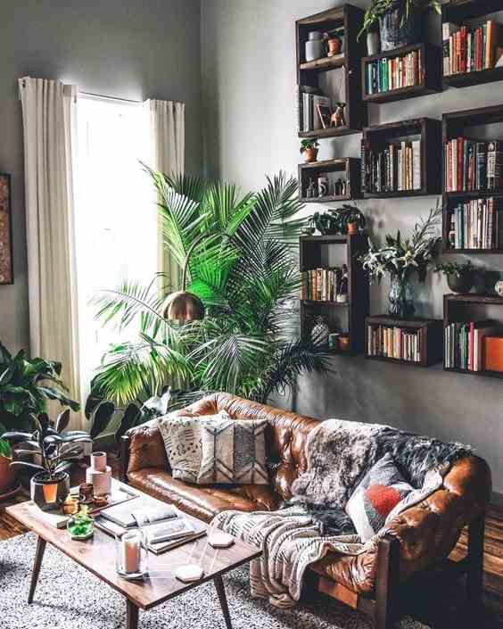 Plants To Preserve Privacy In The Living Room 