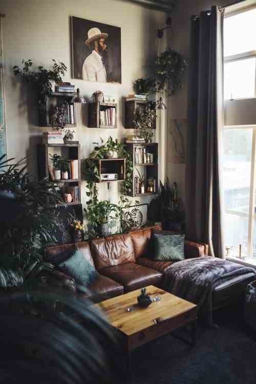 A plant wall decoration to reduce the height under the ceiling 