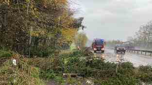 Fallen trees lie on the highway.  (Photo: Eppelborn fire brigade / Frank Recktenwald)
