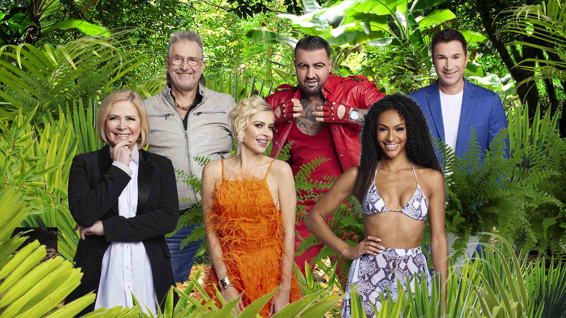 These stars move to the jungle camp New celebrities for Australia