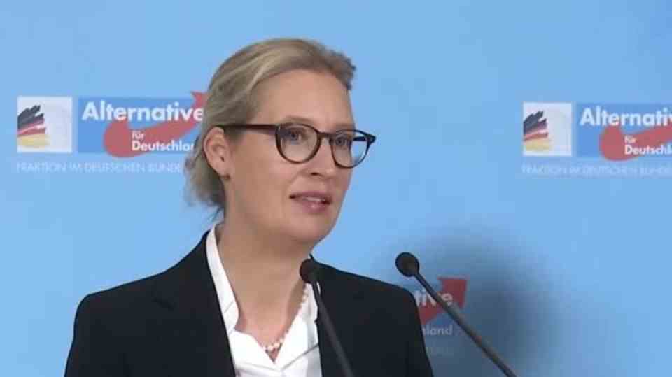 Thomas Haldenwang: Head of the Office for the Protection of the Constitution sees AfD "publicly perceptible" on the way to the right