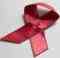 DEUTSCHLAND, BONN - JULI 28: Die Rote Schleife ist weltweit ein Symbol der Solidarität mit HIV-Infizierten und AIDS-Kranken. Das Foto zeigt eine AIDS-Schleife.