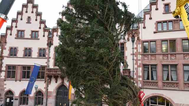Christmas trees: In 2020 (photo) and 2021 there were discussions about the Christmas tree on the Römerberg in Frankfurt.