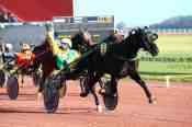The photo of Gamay De L'iton Finish Quinté+ Pmu 14th stage of the Grand National du Trot in Rouen-Mauquenchy