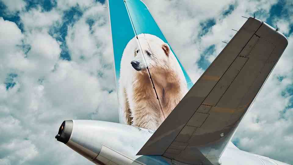 A polar bear on the stern of a "Frontier Airlines"-Machine.
