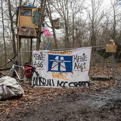 "No A66" is written on a protest poster on a tree house in the forest