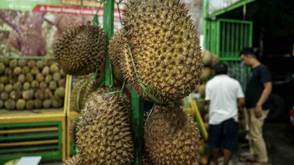 The hype surrounding jackfruit is currently driving up prices 