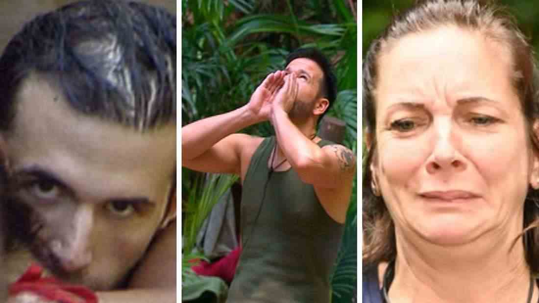 I'm a Celebrity - Get Me Out of Here!: The Big Scandals (Photomontage)