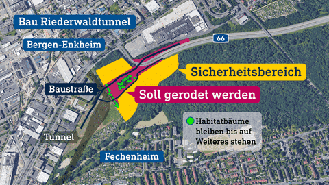 Graphic on the clearing of the Fechenheimer forest
