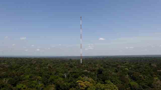Climate policy: The 325 meter high ATTO observatory surrounded by the Brazilian rainforest.