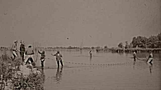 North of Munich: catching carp in the fish ponds south of the reservoir around 1955.