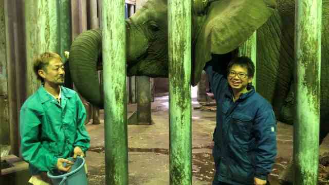 Biology: Hideki Takehana (right) with his colleague Kousaku Maruyama and elephant cow Mao.