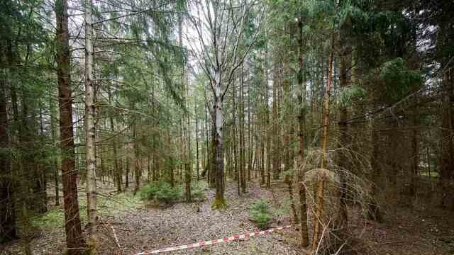 Dispute over wind turbines in the forest: should wind turbines be set up in the Ebersberg forest?  This question splits the environmental activists in the district.
