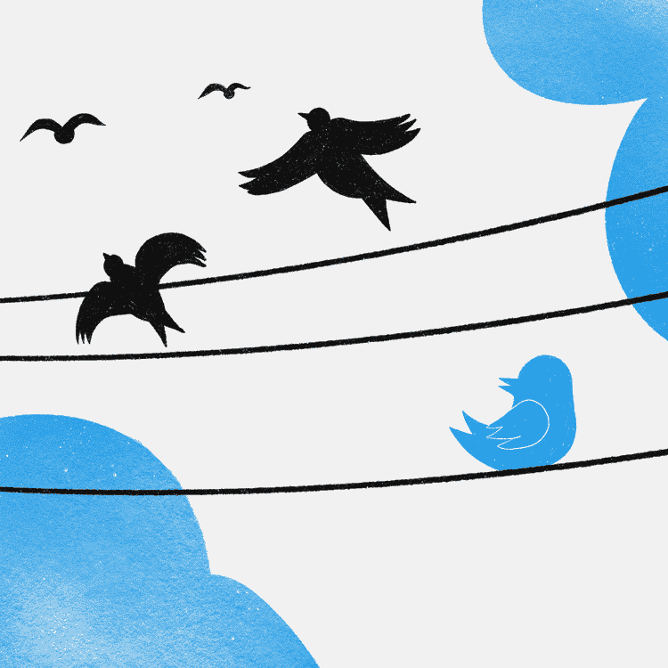 Exasperated by the direction taken by Twitter, some users have decided to say goodbye to the blue bird platform.  (PAULINE LE NOURS / FRANCEINFO)