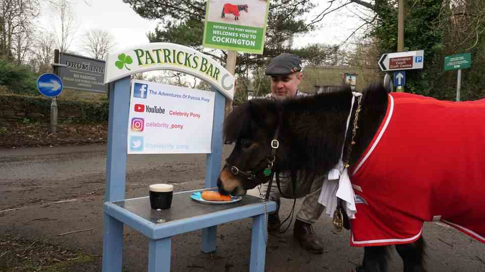 Pony Patrick eats his mobile, light blue one after his walk through the village "Patrick's Bar"