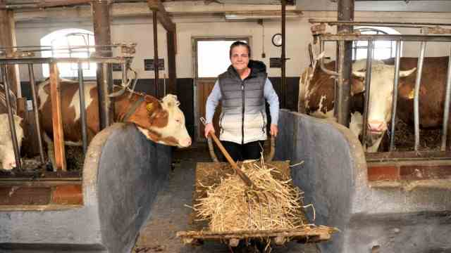 Farming: Anette Drexl mucks out three times a day - and there is always something else to do in the barn.