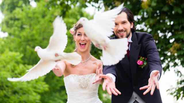 Doves in cities: White doves are still popular at weddings as a symbol of the eternally loving lovebirds.