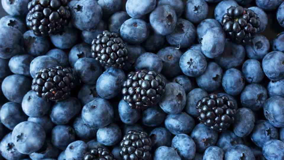 Regional superfood: The small berries contain many more valuable nutrients than their size would suggest