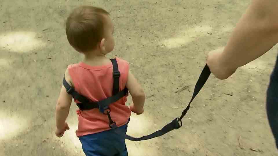 Debate about children's upbringing: the child is led on a leash across the playground