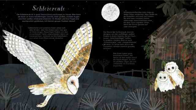 Munich: The barn owl is also one of the ten native bird species from the children's non-fiction book "Fly with us!" can be removed and crafted as 3D models.