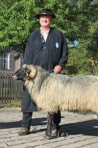 Wolf in Bavaria: The sheep breeder and specialist for herd protection, Christian Mendel.