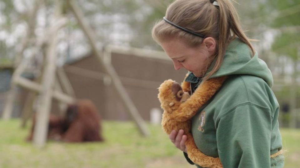 Zoo employee Jessica Gring with an orangutan stuffed animal