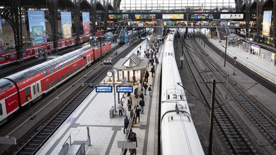 Travelers are waiting for an ICE train from Deutsche Bahn at Hamburg Central Station.  © Daniel Reinhardt/dpa 