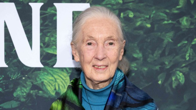 Five for Munich: Jane Goodall.