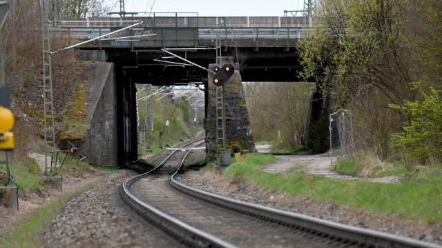Toads have to move: The rail connection in the east of Munich is to be expanded, above all for freight traffic.