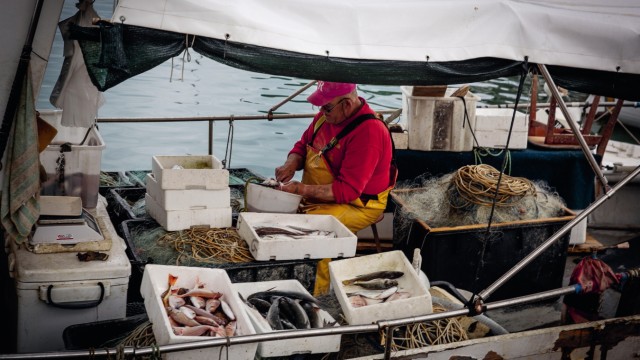 travel book "Istria and Croatia": Fishermen in the Kvarner Bay.