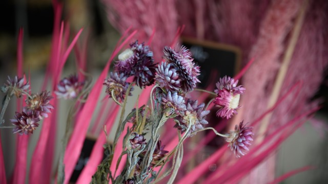 Floristics: When freeze-dried, the plants keep their colour.