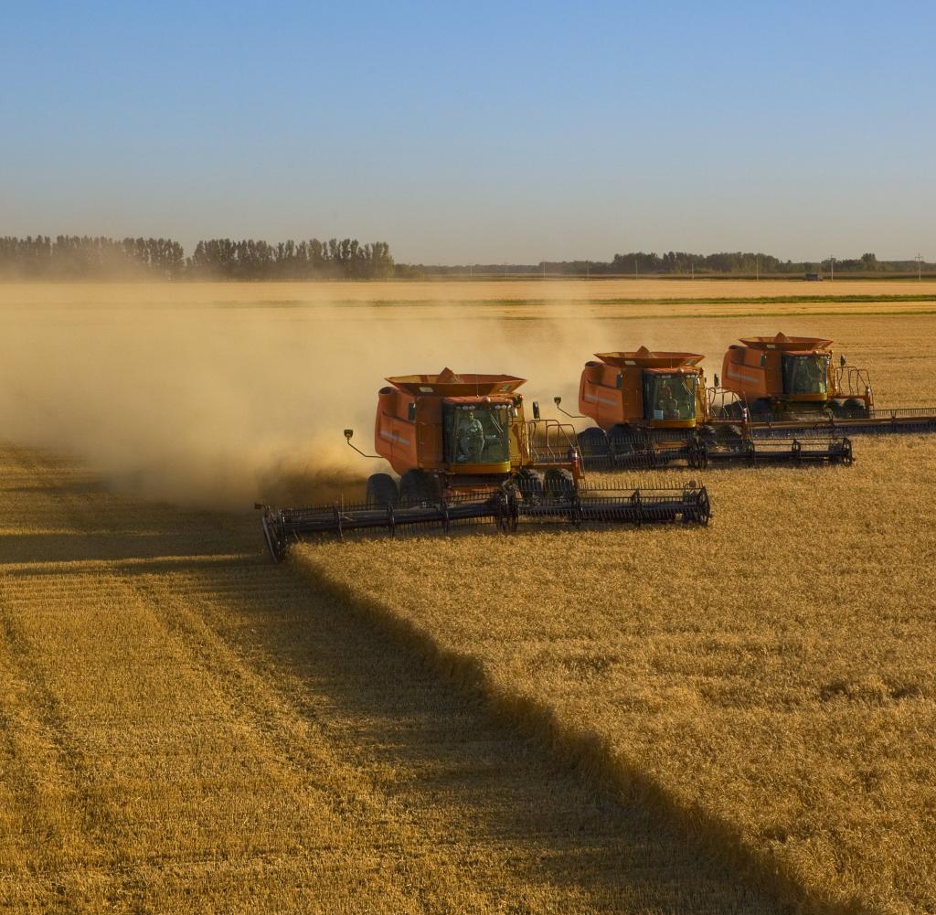 Die Ukraine beherrscht zehn Prozent des globalen Weizenmarktes