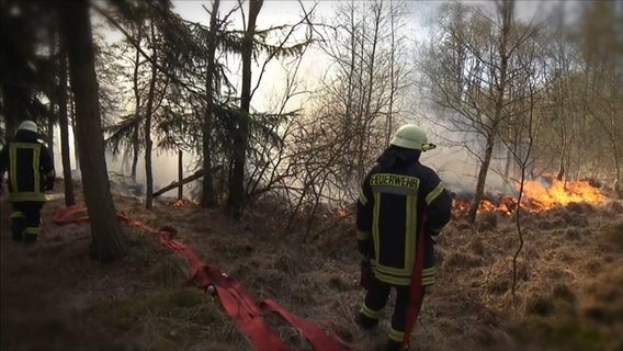 The fire brigade extinguishes a forest fire.  
