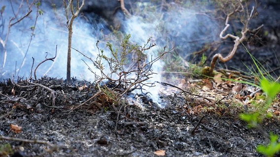 A fire is smoldering in a moor in the district of Dioiepholz © Nord-West-Media TV 