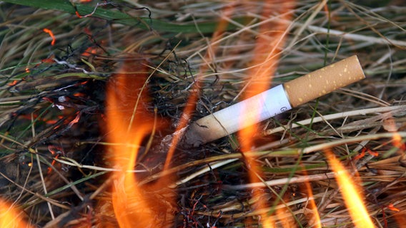 A glowing cigarette ignites a fire on the ground.  © picture-alliance/ dpa Photo: Karl-Josef Hildenbrand