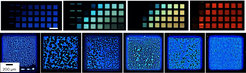 Two rows of brightly colored patterns.  Top row: Four rectangular panels, each with several luminous squares in blue, turquoise, turquoise to yellow and red. Bottom row: Six squares with irregular luminous blue designs.