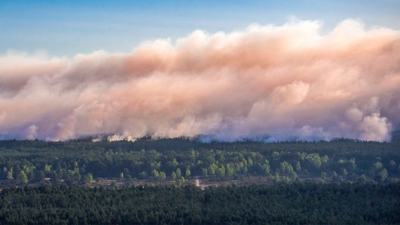 Smoke rises from the forest during a large-scale forest fire near the evacuated village of Alt Jabel.  © dpa-Bildfunk Photo: Jens Büttner