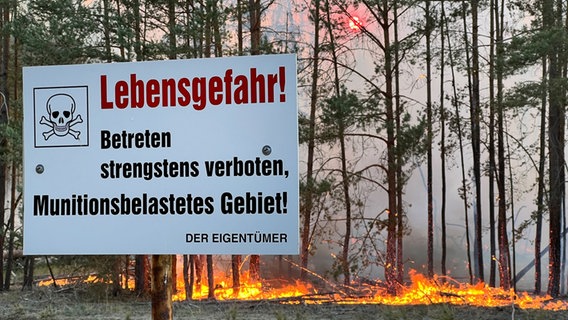 "Lebensgefahr! Betreten strengstens verboten, Munitionsbelastetes Gebiet" steht auf einem Schild, im Hintergrund steigen Rauch und Flammen aus einem Waldgebiet. © dpa Foto: Thomas Schulz