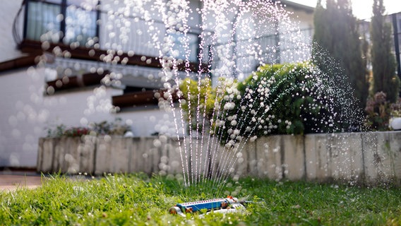 A lawn sprinkler waters a garden.  © picture alliance/Panama Pictures Photo: Christoph Hardt