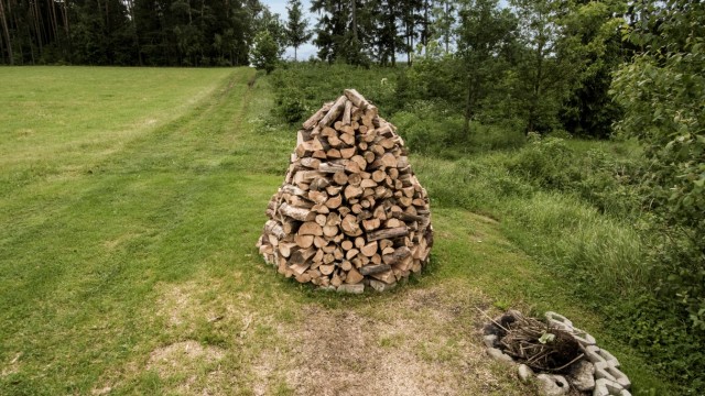 Photography: Such a little pile on the meadow does not correspond to the classic idea of ​​a pile of wood.
