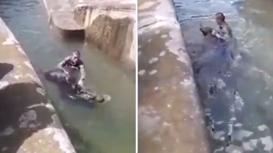 A man tries to drown a bear at Warsaw Zoo