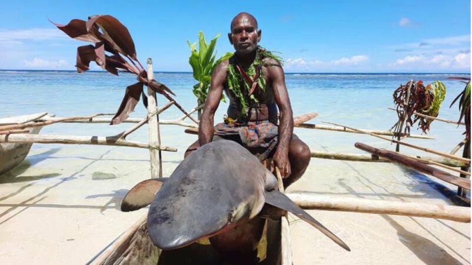This fishing tradition has been around forever, since humans first settled in this part of the world. "Sharks are extremely important in our culture"says Merebo. "Nobody else calls them, only we do." The tradition, which is prevalent in the villages of Kono, Messi and Kontu, is passed down from generation to generation, from father to son.  That is threatened "Shark calling" but due to climate change and deep-sea mining.